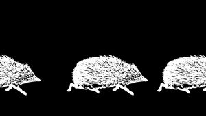 Preview wallpaper hedgehogs, art, bw, vector