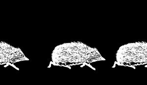 Preview wallpaper hedgehogs, art, bw, vector