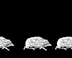 Preview wallpaper hedgehogs, art, bw, vector