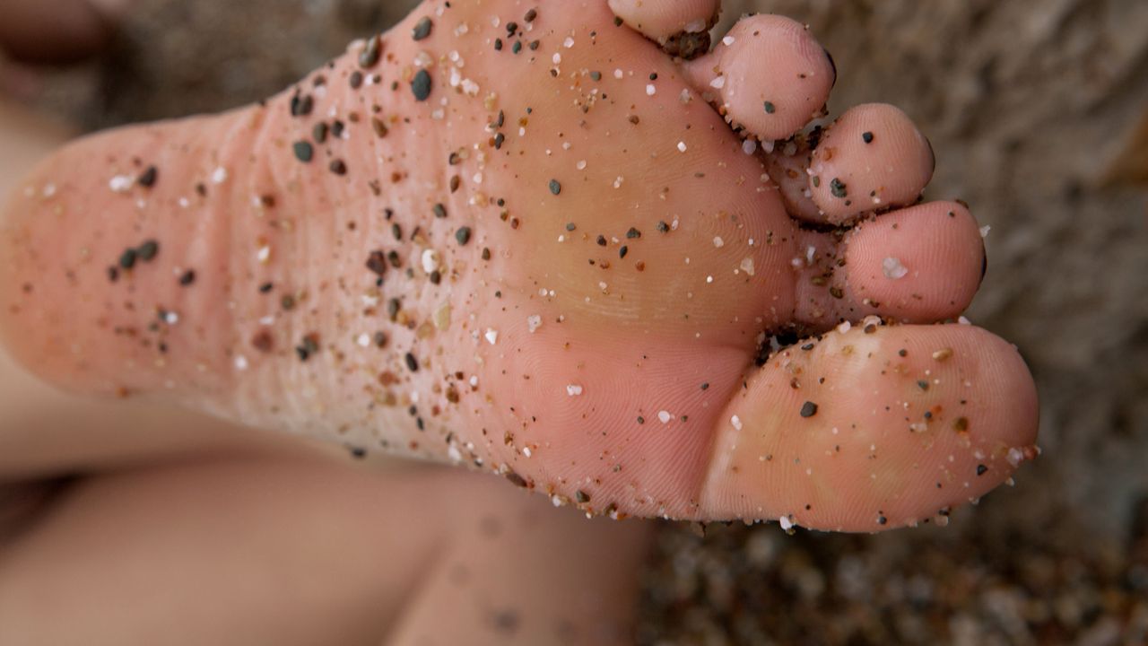 Wallpaper heel, mud, sand, wet