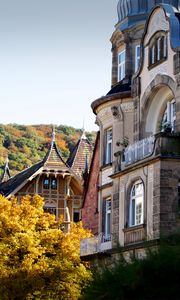 Preview wallpaper heidelberg, germany, building, architecture, autumn, forest