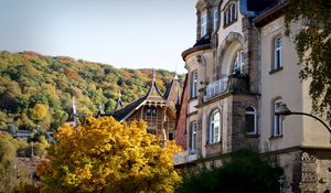 Preview wallpaper heidelberg, germany, building, architecture, autumn, forest