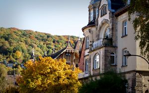 Preview wallpaper heidelberg, germany, building, architecture, autumn, forest