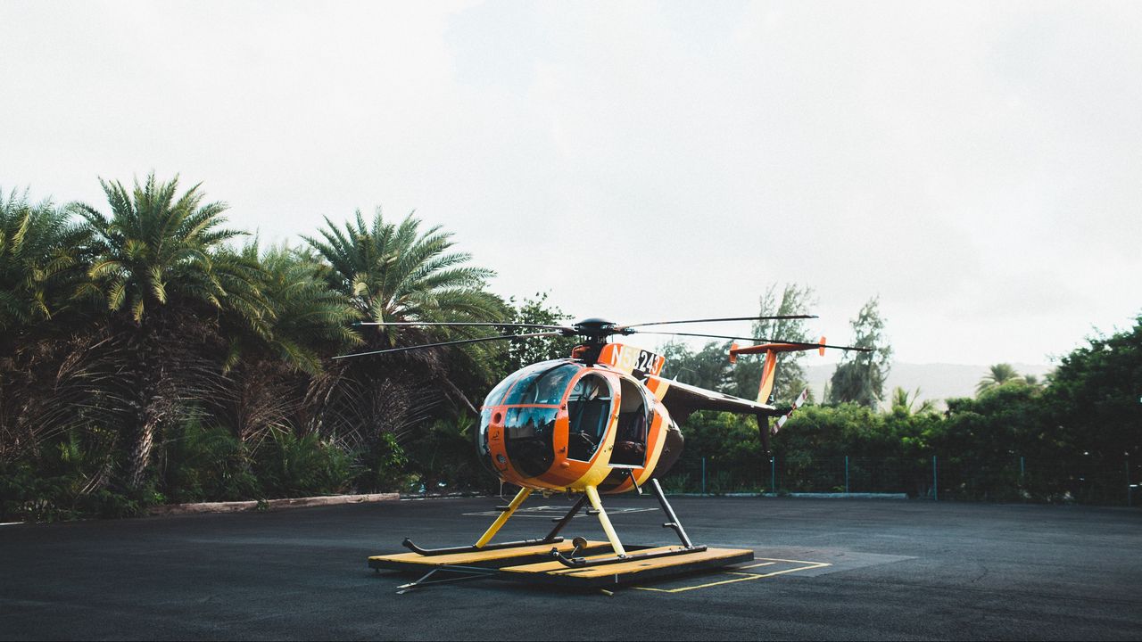 Wallpaper helicopter, area, palm trees