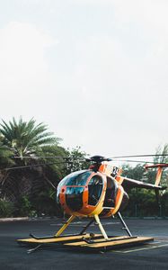 Preview wallpaper helicopter, area, palm trees