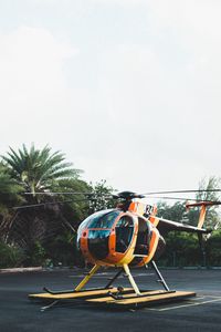 Preview wallpaper helicopter, area, palm trees