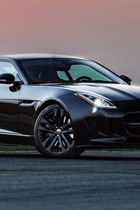 Preview wallpaper hennessey, jaguar, f-type r, side view