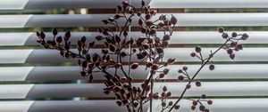 Preview wallpaper herbarium, branches, vase, decor