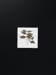 Preview wallpaper herbarium, glass, broken, shards, branch