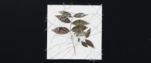 Preview wallpaper herbarium, glass, broken, shards, branch