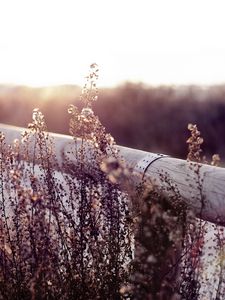 Preview wallpaper herbs, fence, log, field