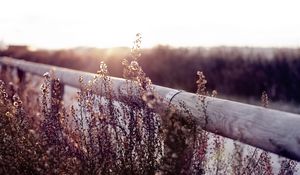 Preview wallpaper herbs, fence, log, field