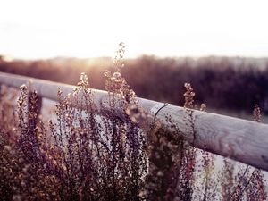 Preview wallpaper herbs, fence, log, field