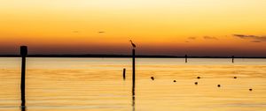 Preview wallpaper heron, bird, pilings, silhouettes, sea, sunset