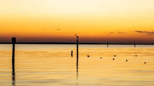 Preview wallpaper heron, bird, pilings, silhouettes, sea, sunset