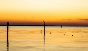 Preview wallpaper heron, bird, pilings, silhouettes, sea, sunset