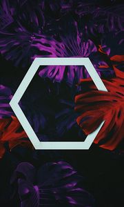 Preview wallpaper hexagon, leaves, geometry, shape