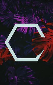 Preview wallpaper hexagon, leaves, geometry, shape