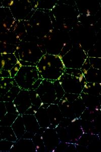 Preview wallpaper hexagons, dark, colorful, spots, lines