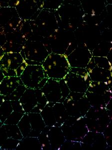 Preview wallpaper hexagons, dark, colorful, spots, lines