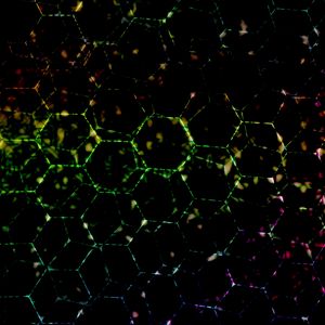 Preview wallpaper hexagons, dark, colorful, spots, lines