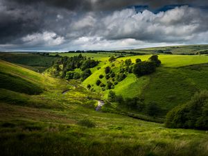 Preview wallpaper hill, bushes, road, winding, sky