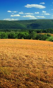 Preview wallpaper hill, field, bushes, grass, dry