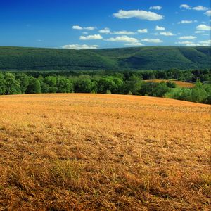 Preview wallpaper hill, field, bushes, grass, dry