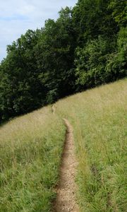 Preview wallpaper hill, field, path, trees, nature
