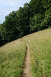 Preview wallpaper hill, field, path, trees, nature