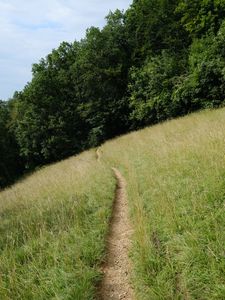 Preview wallpaper hill, field, path, trees, nature