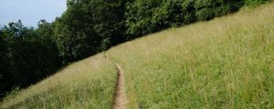 Preview wallpaper hill, field, path, trees, nature