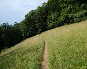 Preview wallpaper hill, field, path, trees, nature