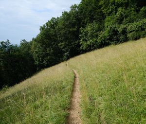 Preview wallpaper hill, field, path, trees, nature