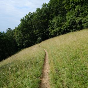 Preview wallpaper hill, field, path, trees, nature