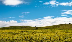 Preview wallpaper hill, flowers, grass, clouds, sky