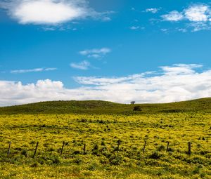 Preview wallpaper hill, flowers, grass, clouds, sky