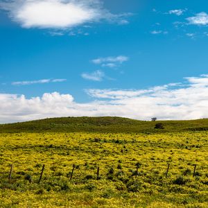 Preview wallpaper hill, flowers, grass, clouds, sky