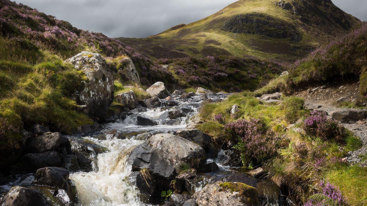 Wallpaper hill, flowers, river, stones, nature