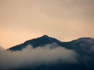 Preview wallpaper hill, fog, forest