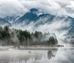 Preview wallpaper hill, fog, lake, forest, trees