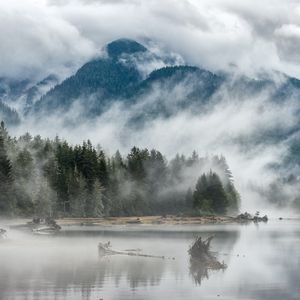 Preview wallpaper hill, fog, lake, forest, trees