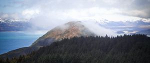 Preview wallpaper hill, fog, trees, spruce, sky