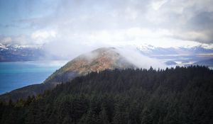 Preview wallpaper hill, fog, trees, spruce, sky