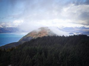 Preview wallpaper hill, fog, trees, spruce, sky