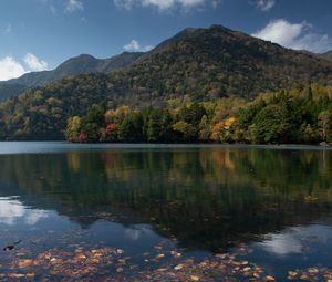 Preview wallpaper hill, forest, reflection