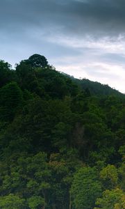 Preview wallpaper hill, forest, trees, sky