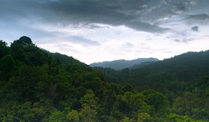 Preview wallpaper hill, forest, trees, sky
