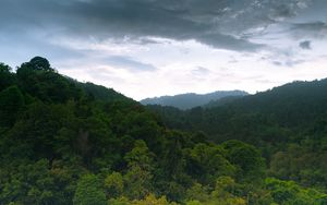 Preview wallpaper hill, forest, trees, sky