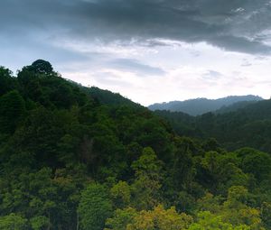 Preview wallpaper hill, forest, trees, sky